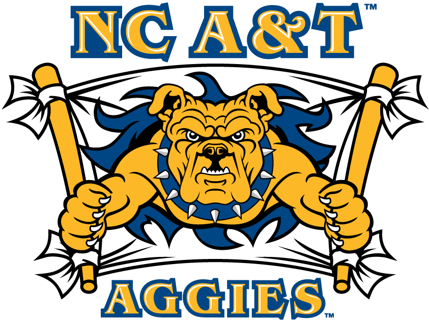 North Carolina A&T Aggies 2006-Pres Secondary Logo v3 diy DTF decal sticker